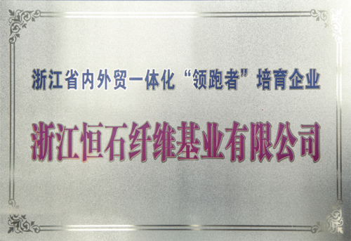 內外貿一體化領跑者